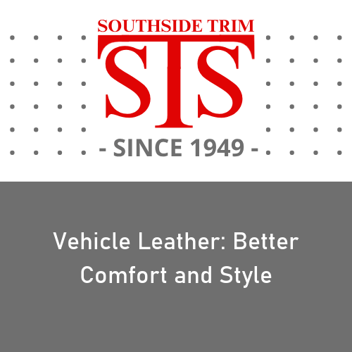 vehicle leather